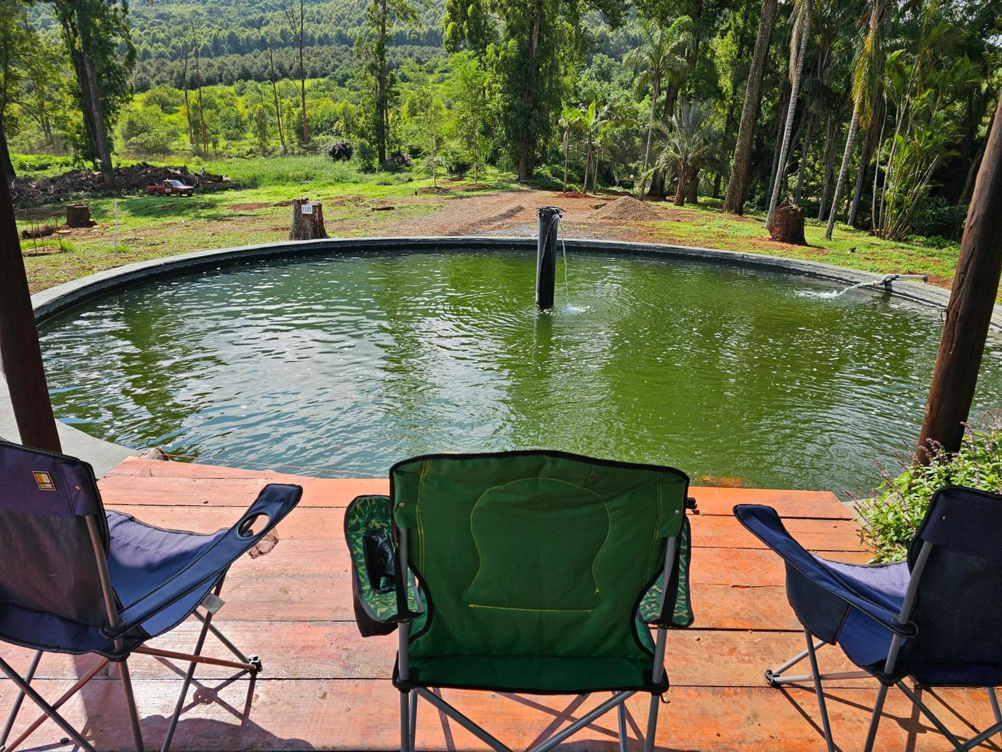 Pecan Farm Guesthouse Louis Trichardt Exteriér fotografie